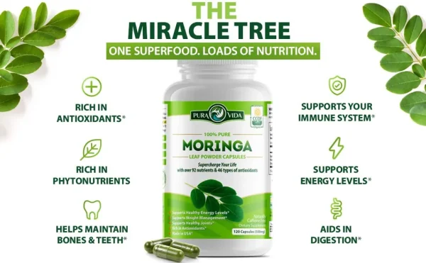 Pure Vida Moringa